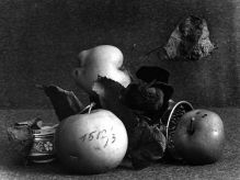 Still lifes with numbers